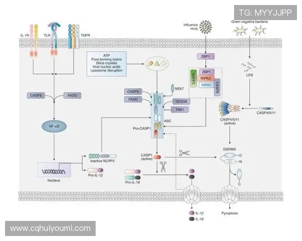 基于生化分析技术的疾病早期诊断代谢通路解析与精准医疗研究进展